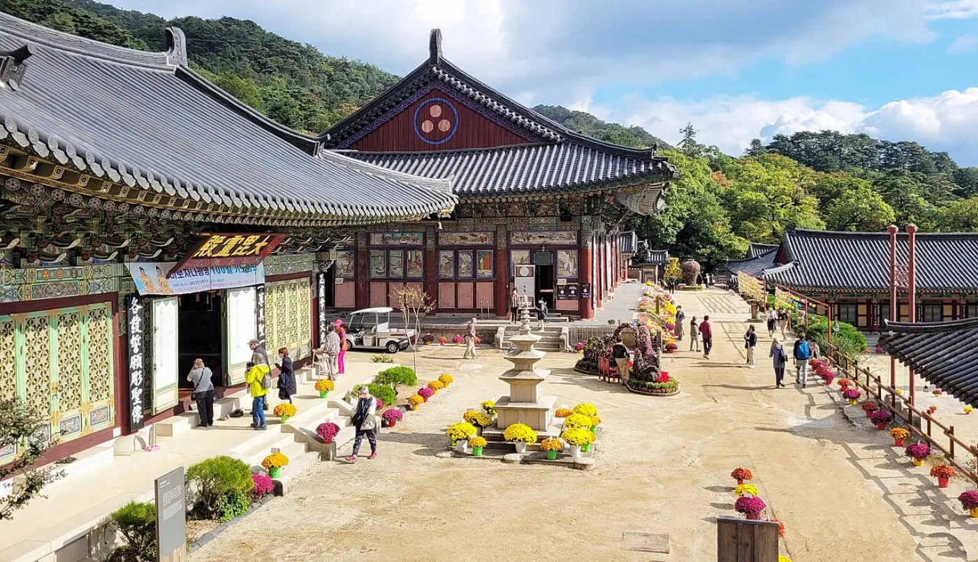 숲이 우거진 산을 배경으로 기와 전각들이 둘러싼 해인사 경내 마당
